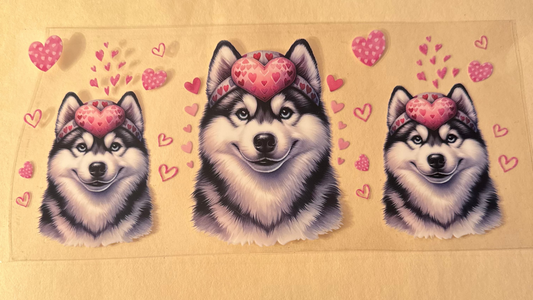 Husky's in love cup wrap